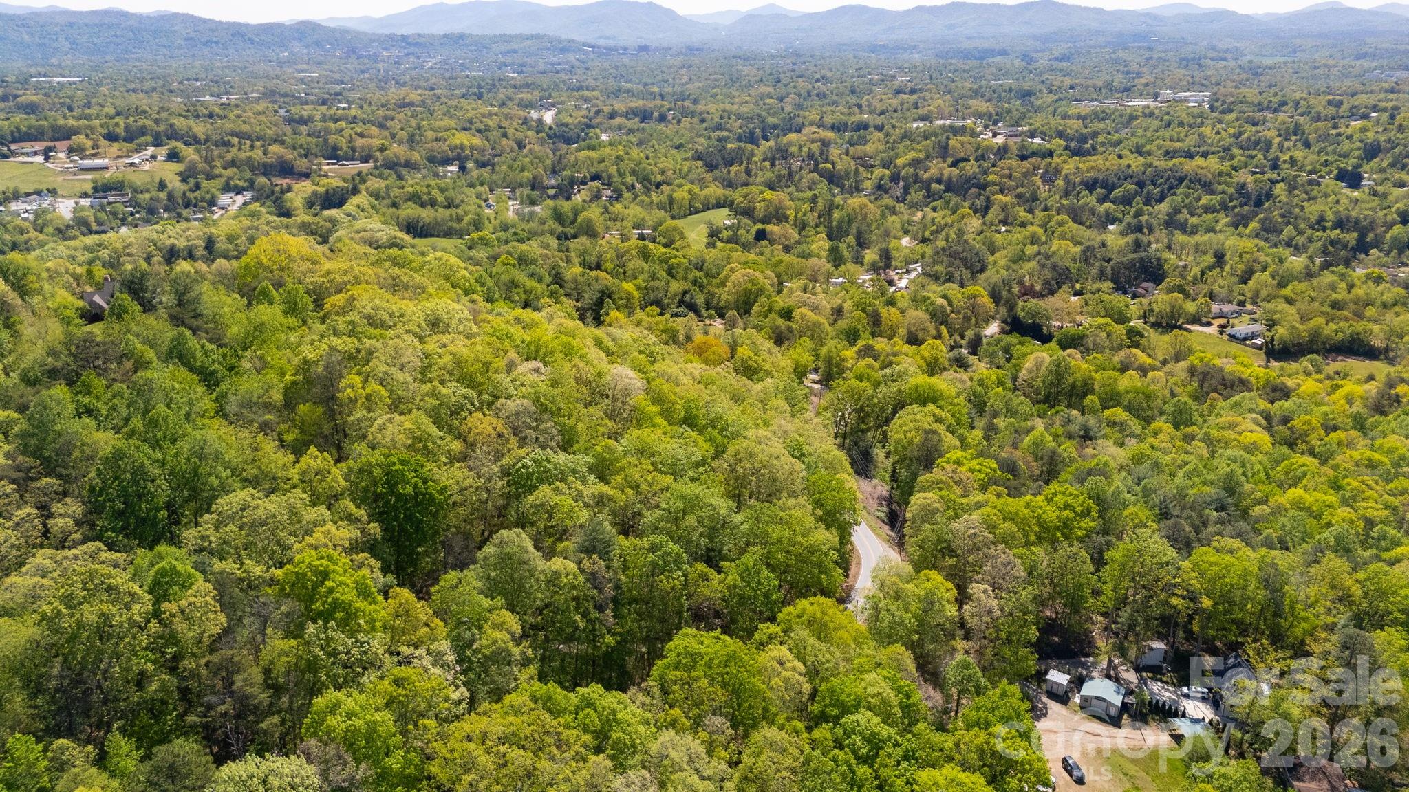 155 Spivey Mountain Road Asheville, NC 28806 - Photo 45 of 48 a view of a lush green field with mountains in the background