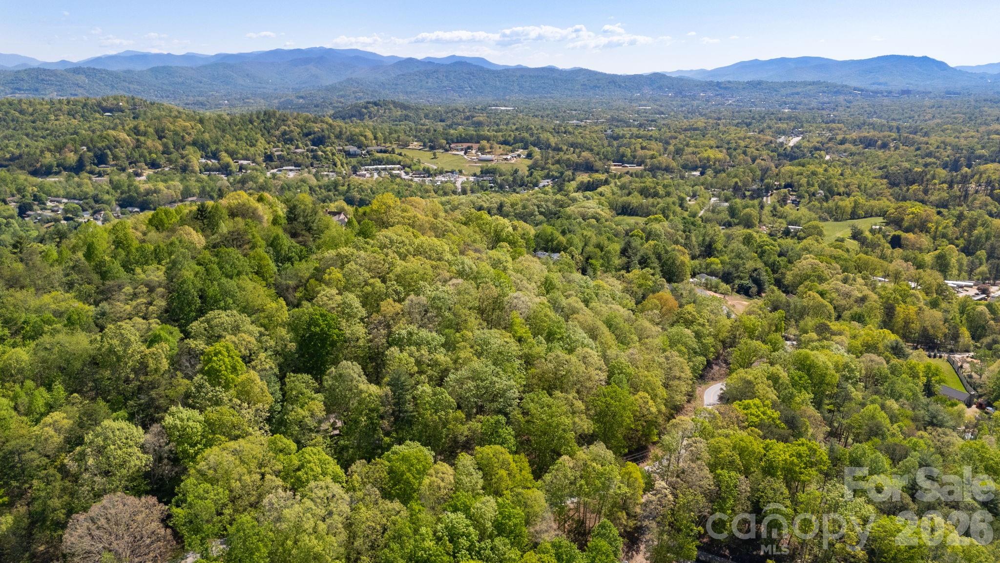 155 Spivey Mountain Road Asheville, NC 28806 - Photo 46 of 48 a view of a forest with a mountain
