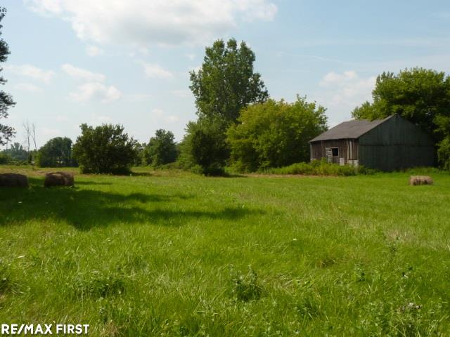 0 Belle River Road Allenton, MI 48002 - Photo 1 of 20