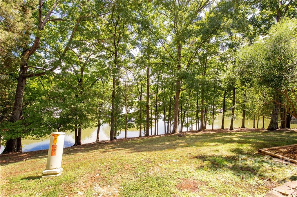 62 Ridgeport Road Clover, SC 29710 - Photo 38 of 41 a view of yard with trees