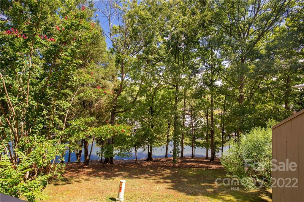 62 Ridgeport Road Clover, SC 29710 - Photo 41 of 41 a view of a yard with large trees