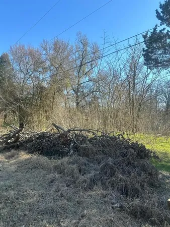 a view of a yard