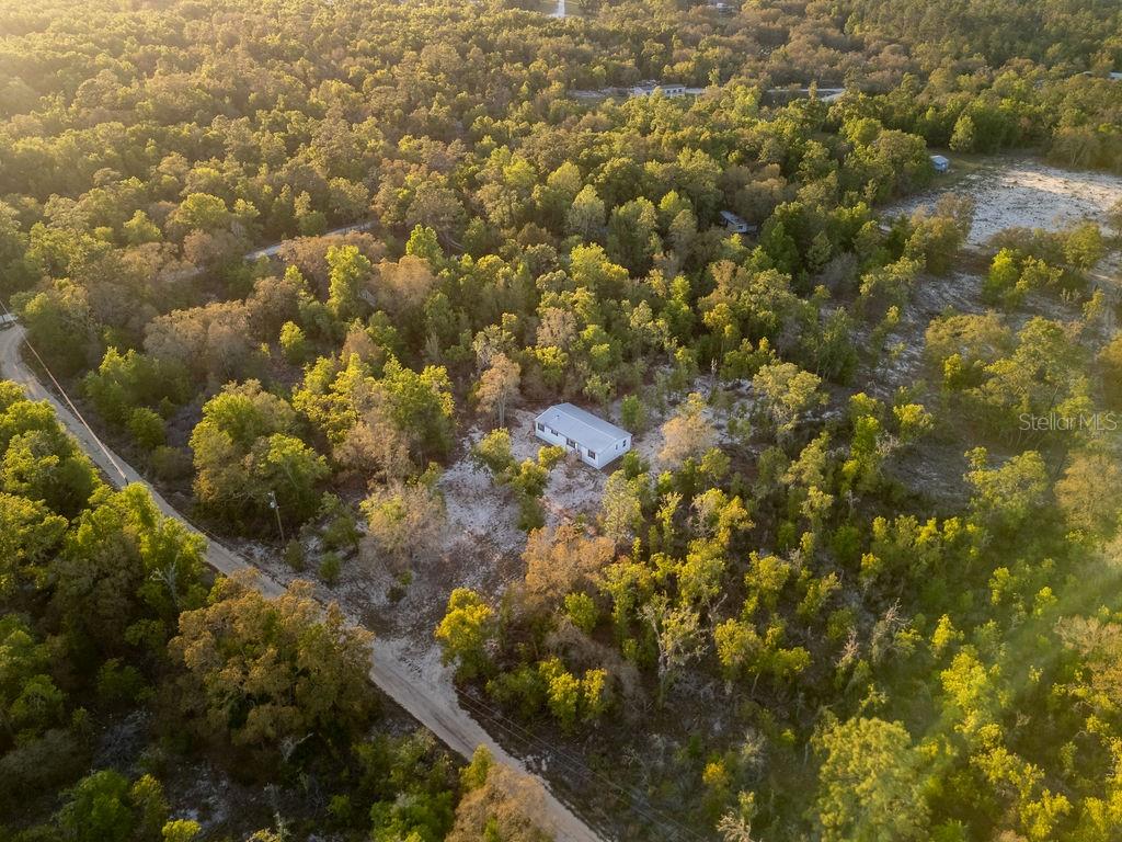 9591 Northeast 87 Place Bronson, FL 32621 - Photo 50 of 92