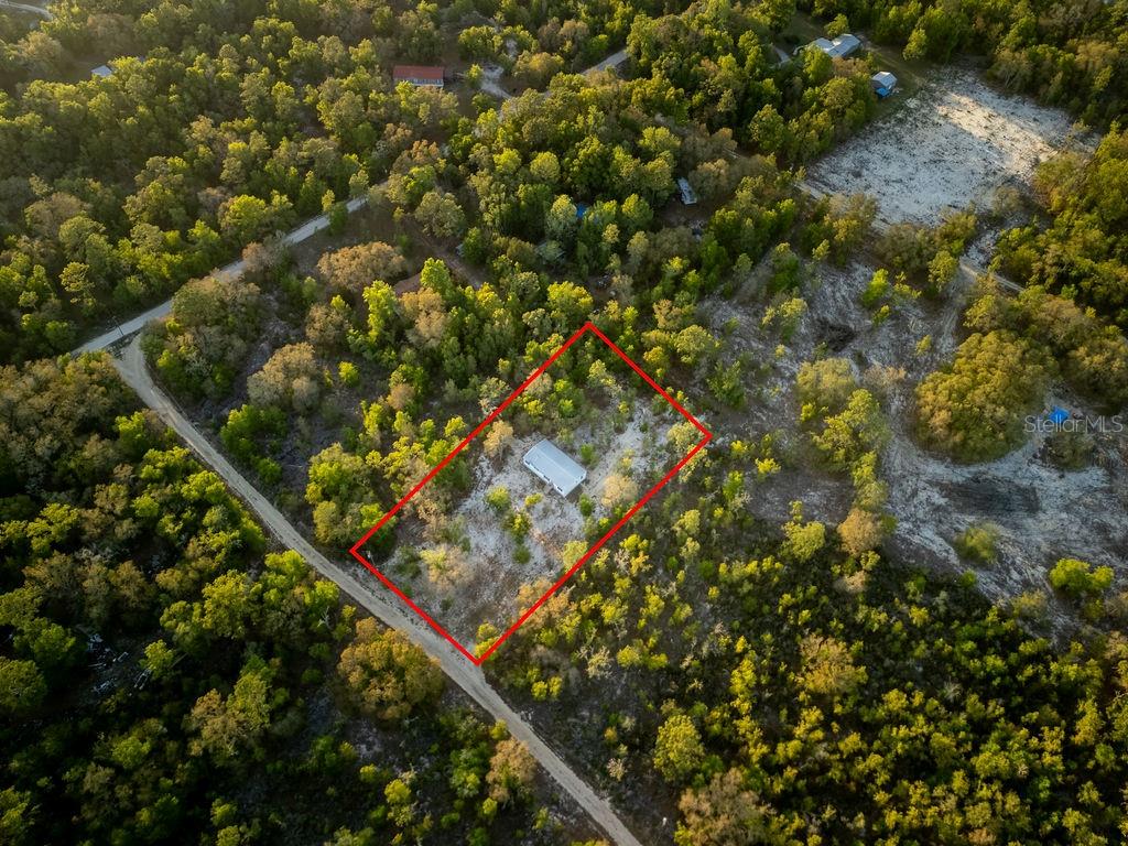 9591 Northeast 87 Place Bronson, FL 32621 - Photo 52 of 92