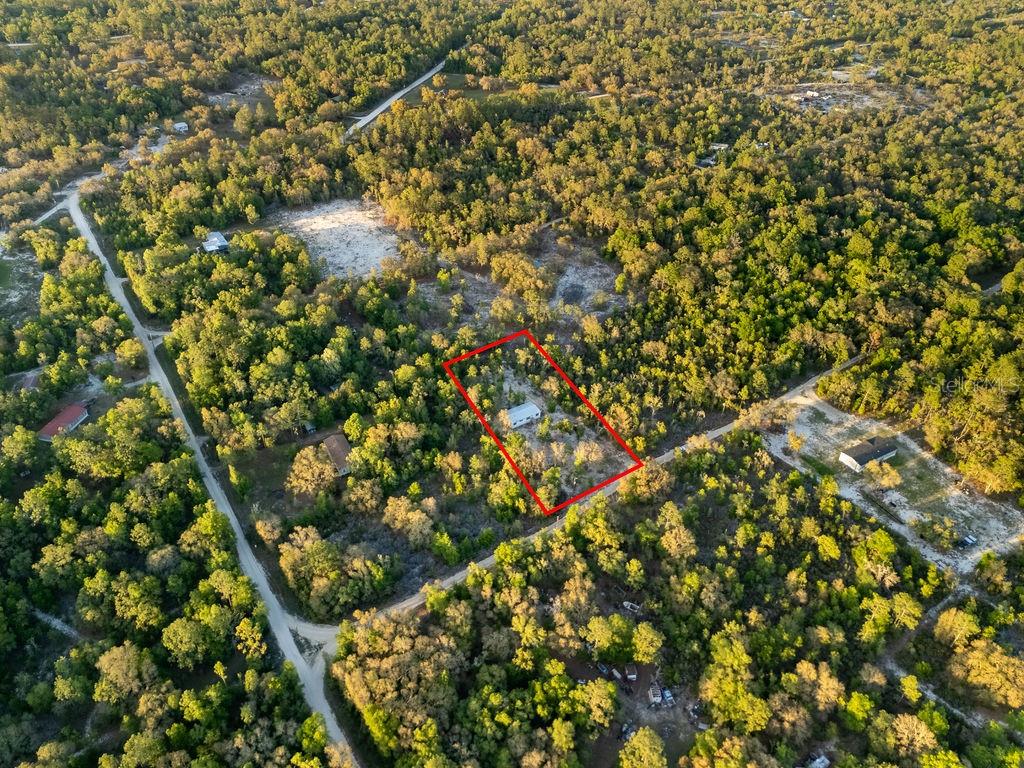 9591 Northeast 87 Place Bronson, FL 32621 - Photo 56 of 92