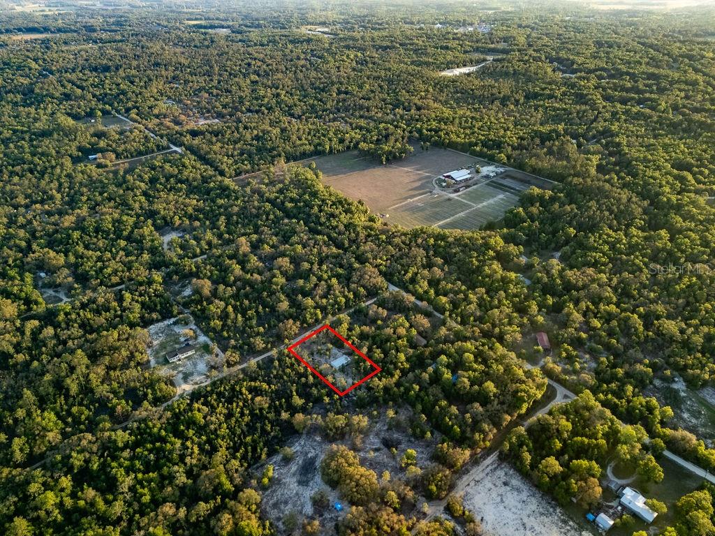 9591 Northeast 87 Place Bronson, FL 32621 - Photo 58 of 92