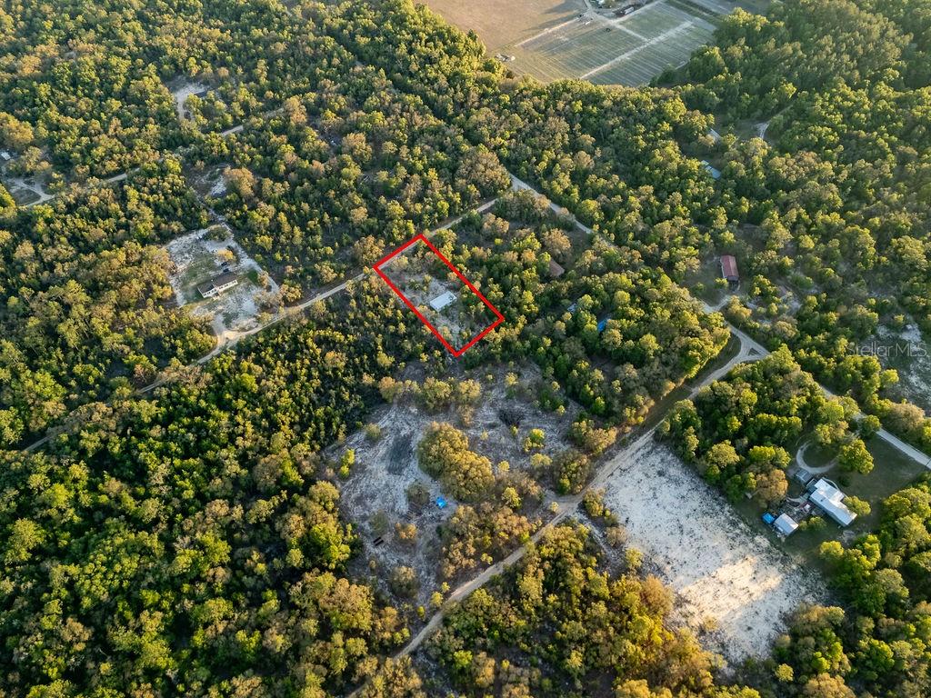 9591 Northeast 87 Place Bronson, FL 32621 - Photo 61 of 92