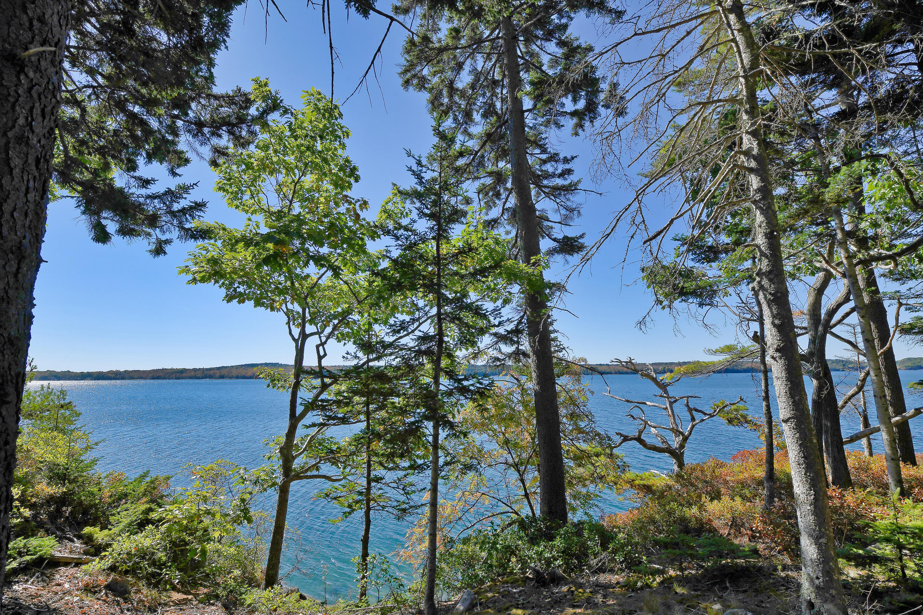 Lot 6 Sunset Road Brooksville, ME 04617 - Photo 23 of 35