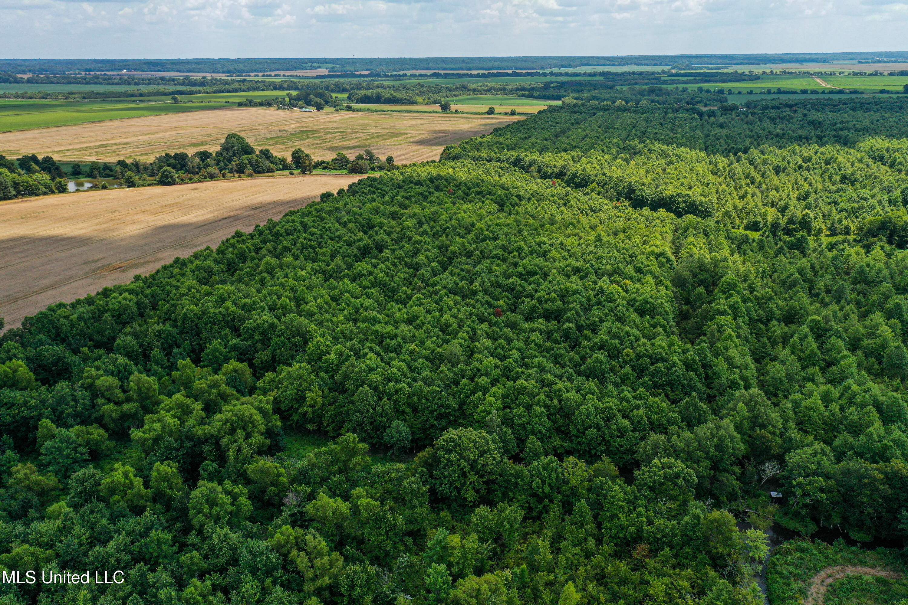 101 Tyler Lane Crenshaw, MS 38621 - Photo 11 of 59 DJI_0353