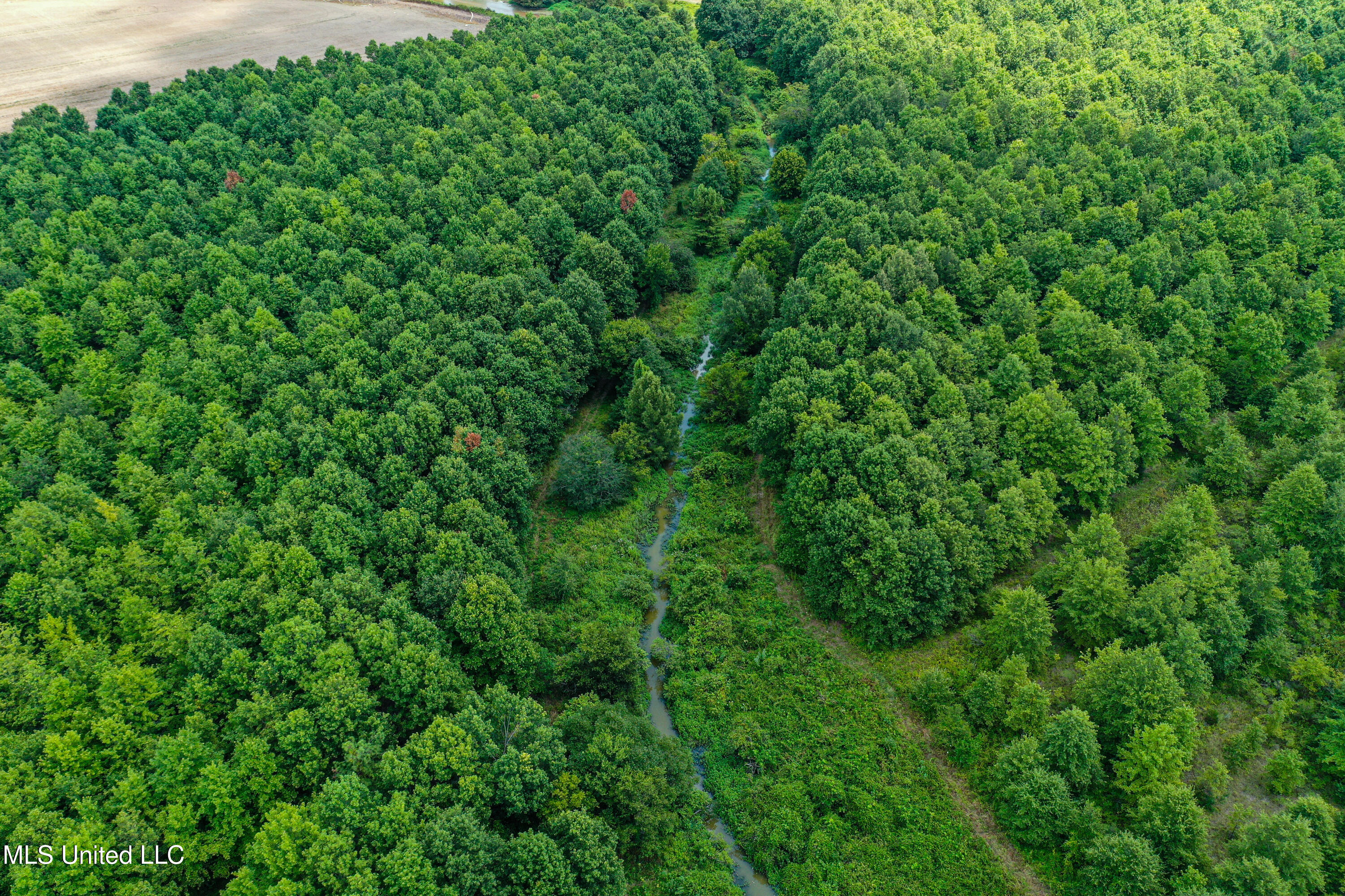 101 Tyler Lane Crenshaw, MS 38621 - Photo 16 of 59 DJI_0358