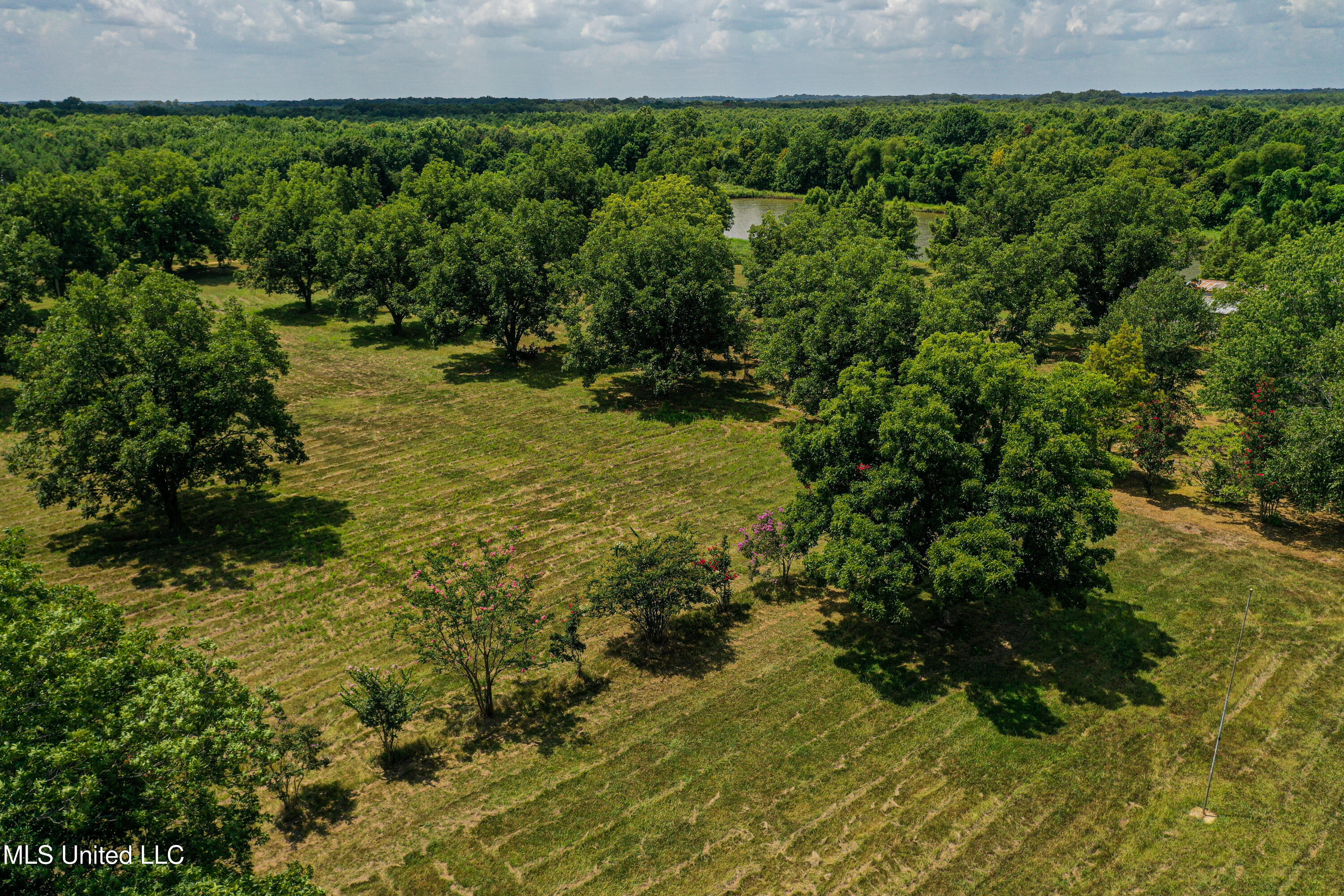 101 Tyler Lane Crenshaw, MS 38621 - Photo 24 of 59 DJI_0376