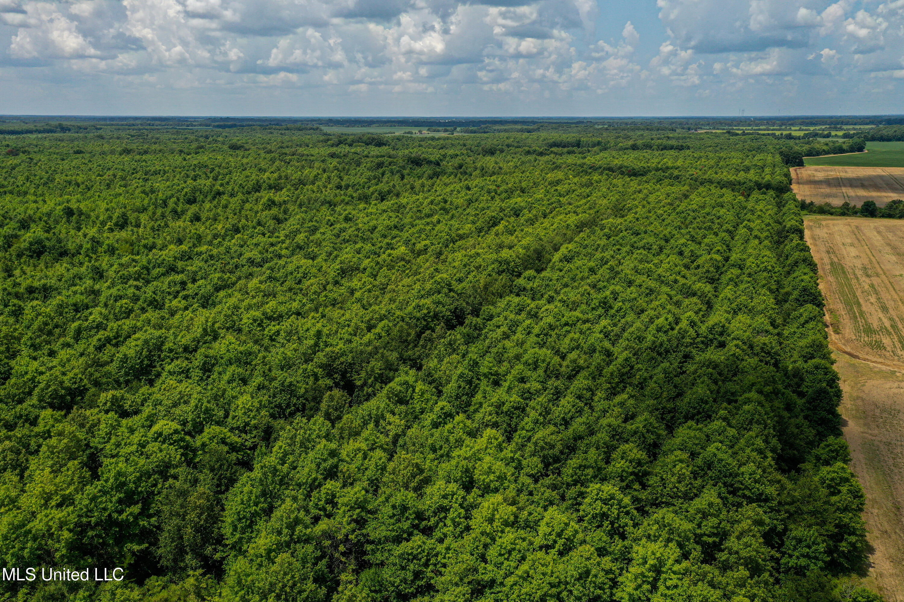 101 Tyler Lane Crenshaw, MS 38621 - Photo 6 of 59 DJI_0348