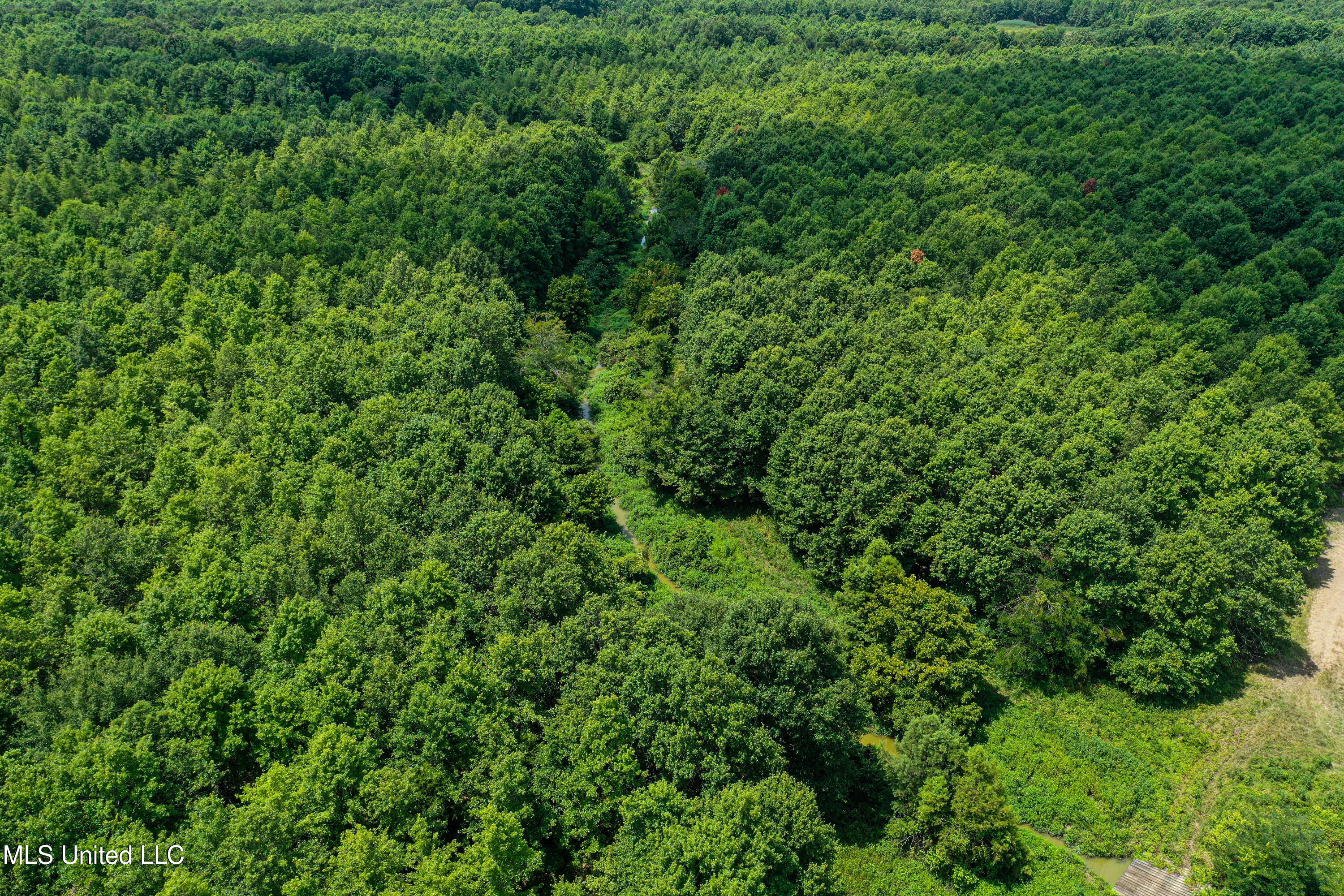 101 Tyler Lane Crenshaw, MS 38621 - Photo 8 of 59 DJI_0350