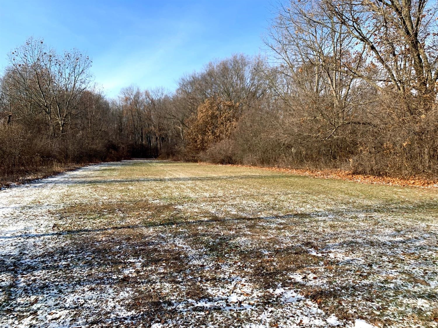 763 Baker Road Dexter, MI 48130 - Photo 5 of 31 Photo 5