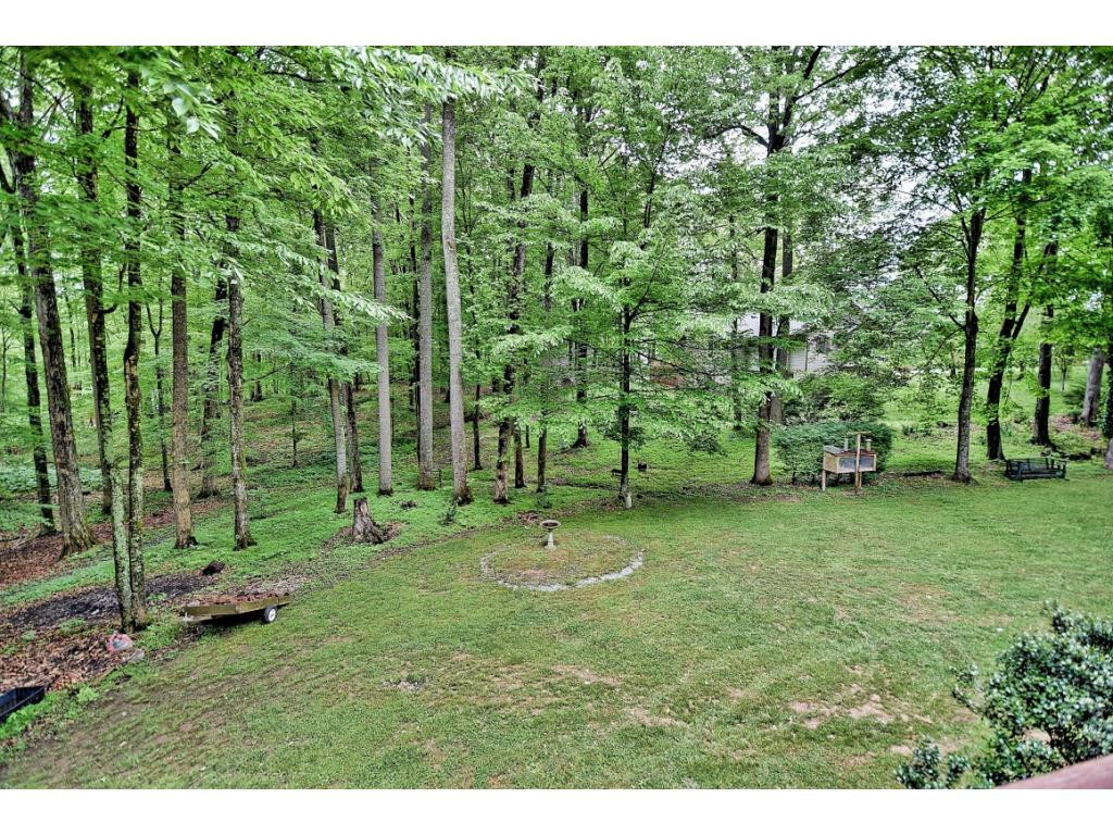 156 Springbrook Road Unicoi, TN 37692 - Photo 28 of 31 Photo 28