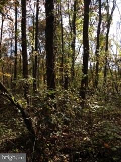 Lot 3 Zeigler Road Dover, PA 17315 - Photo 2 of 4 Gallery Image 2