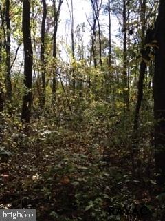 Lot 3 Zeigler Road Dover, PA 17315 - Photo 3 of 4 Gallery Image 3