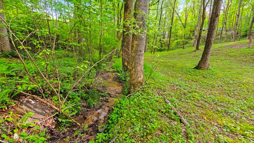 118 Ringtail Run Murphy, NC 28906 - Photo 59 of 62