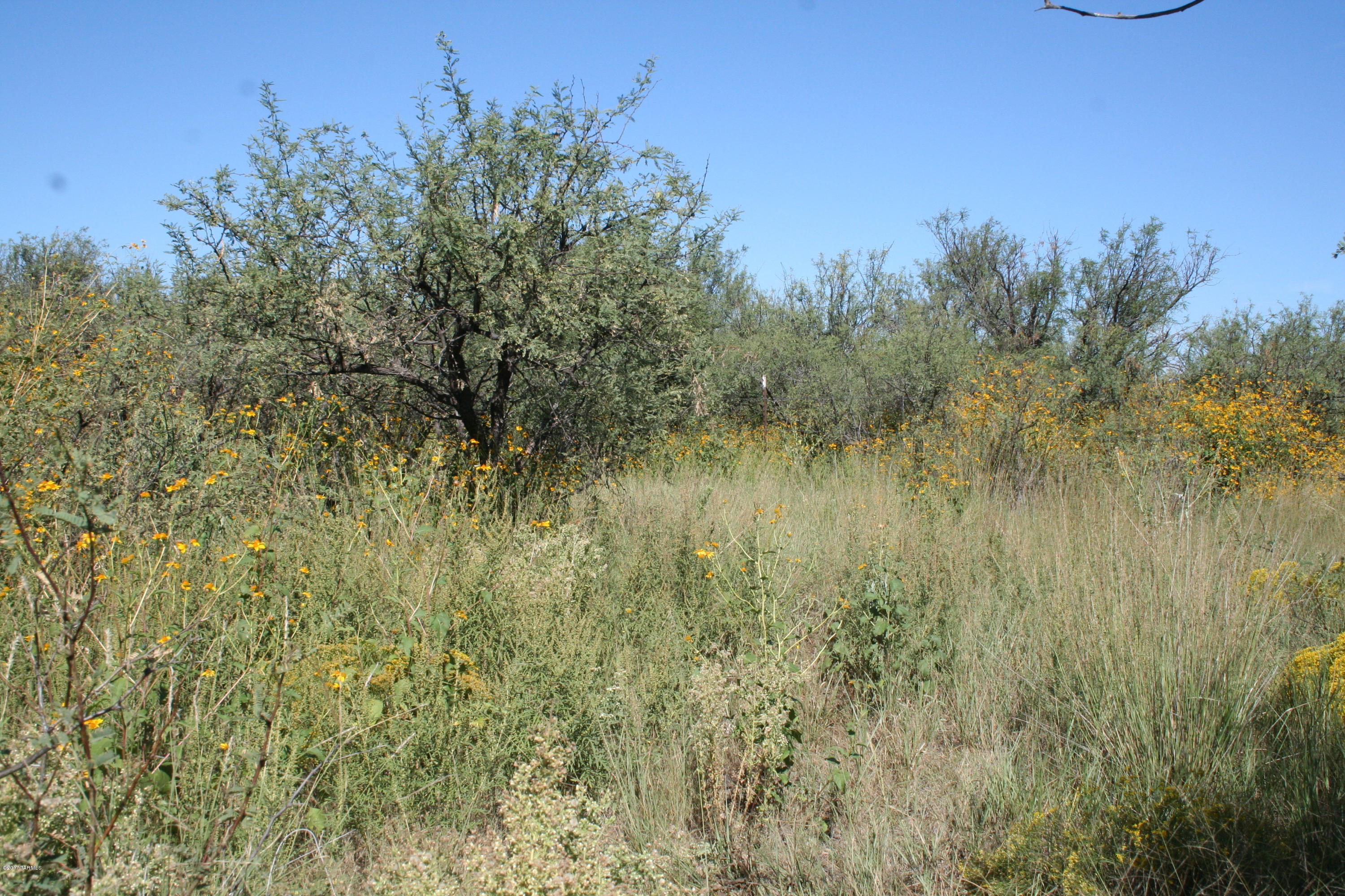 Tbd Victorio Road Dragoon, AZ 85609 - Photo 23 of 29