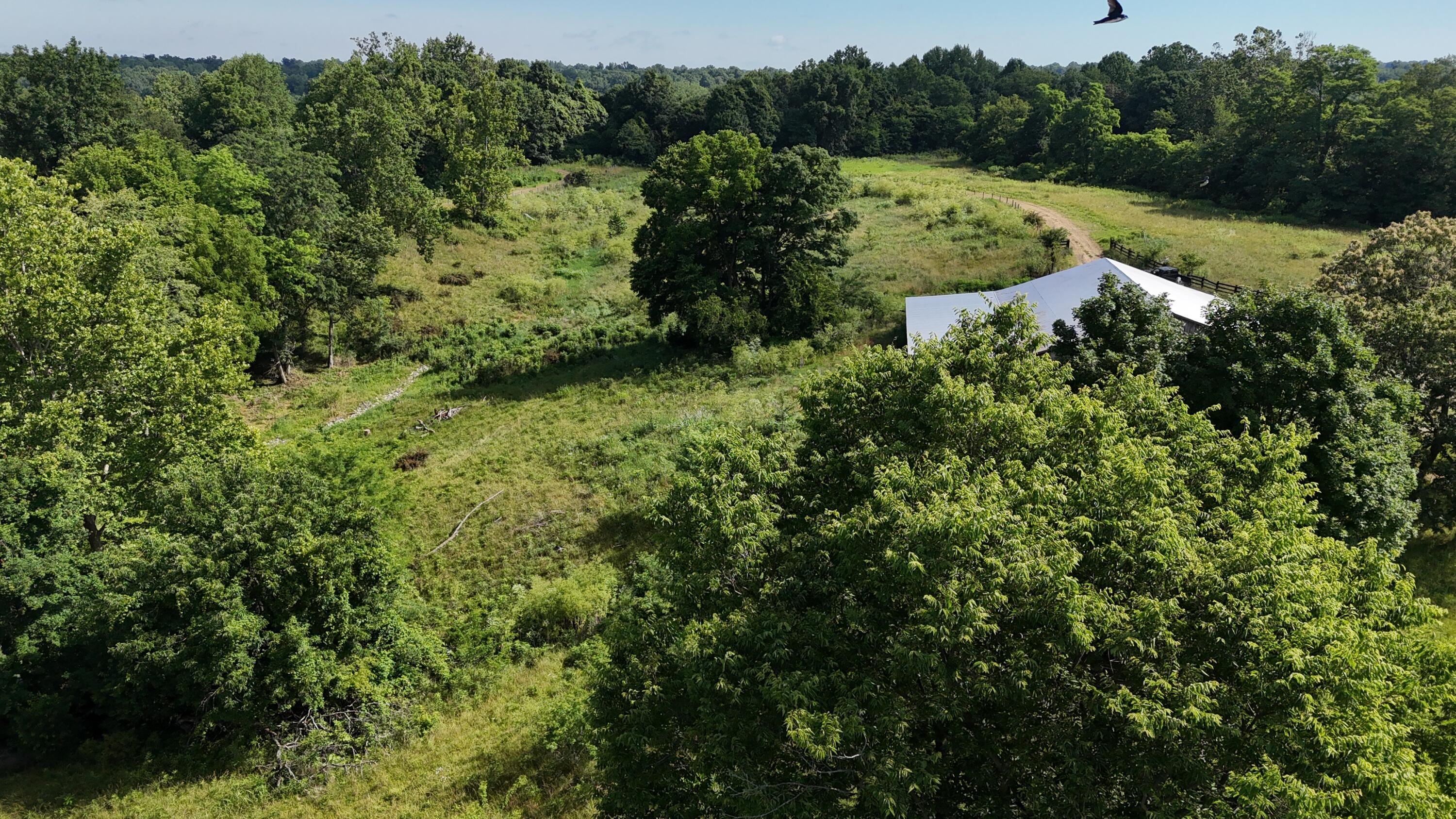 9477 Beechgrove Road Burlington, KY 41005 - Photo 37 of 47 DJI_20260617102618_0646_D