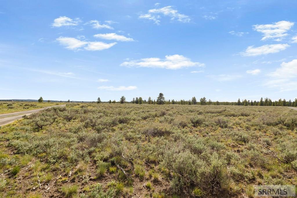 3565 Pine Grouse Road Island Park, ID 83429 - Photo 15 of 15