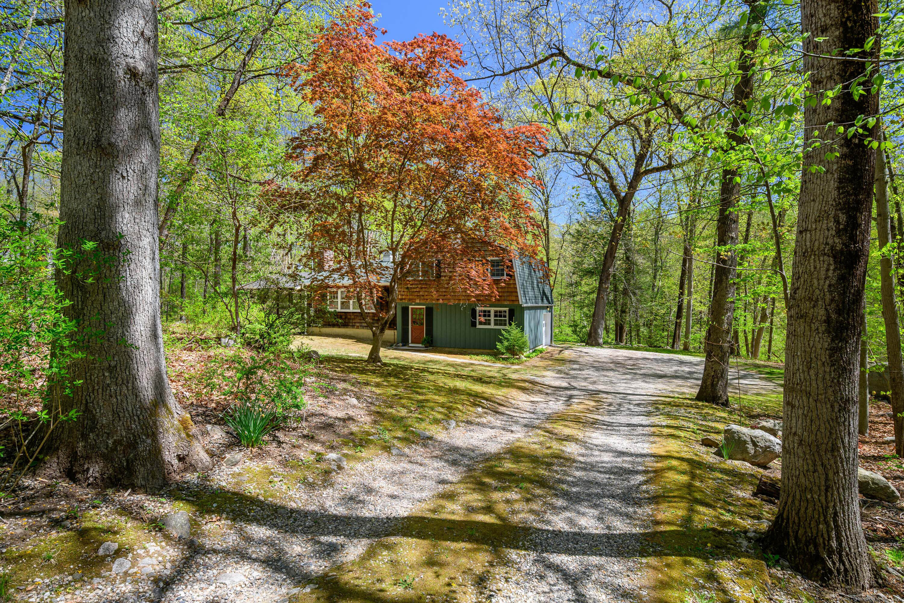 a view of a yard with plants and trees