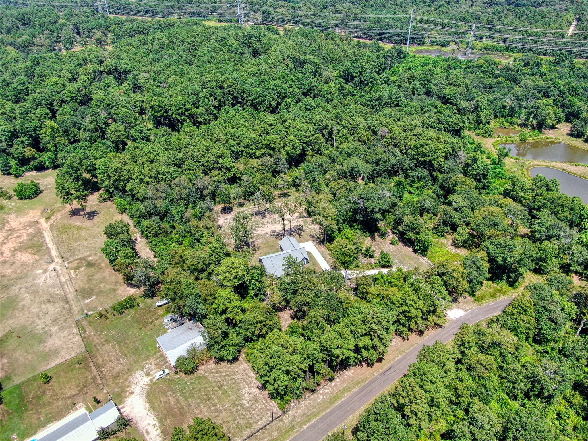 16735 Azalea Lane Plantersville, TX 77363 - Photo 34 of 44 a view of a garden with a tree