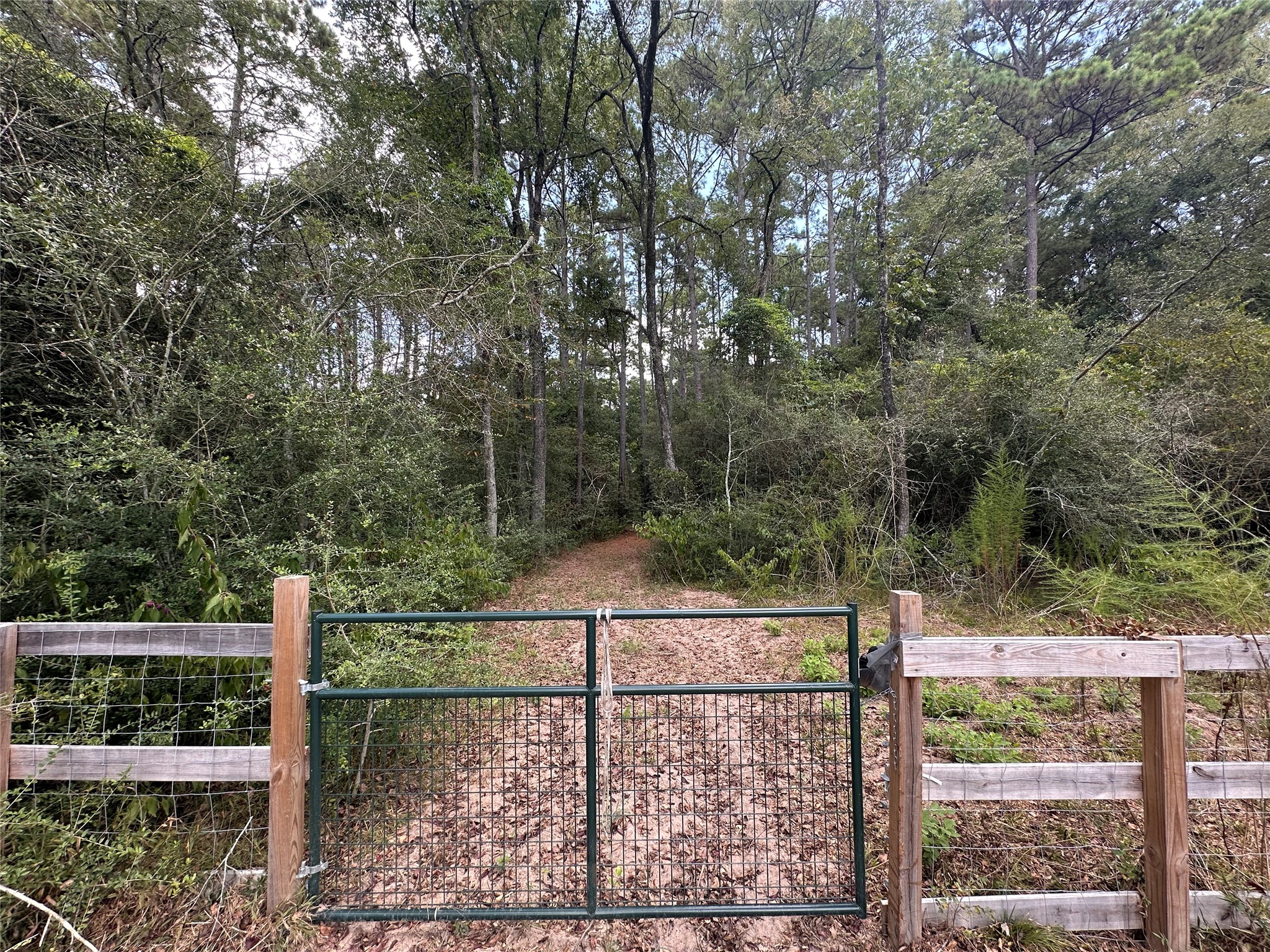 16735 Azalea Lane Plantersville, TX 77363 - Photo 38 of 44 a view of a fence