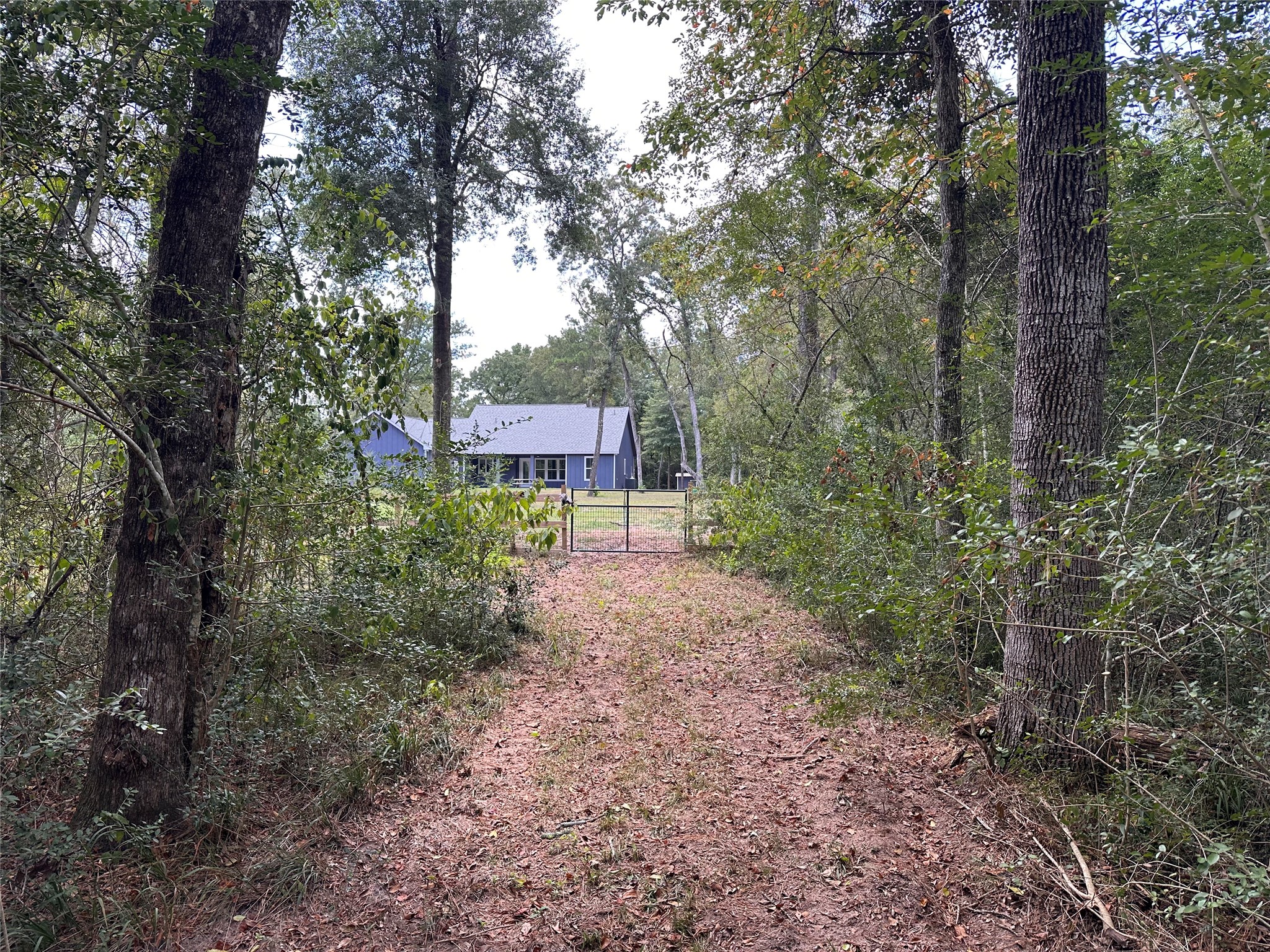 16735 Azalea Lane Plantersville, TX 77363 - Photo 40 of 44 a view of a house with a yard and tree s