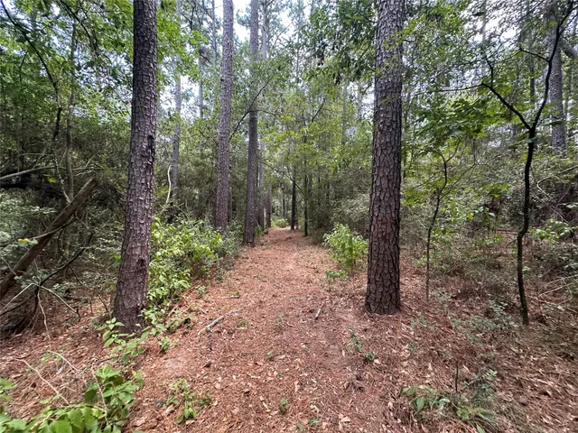 $699,000 | 16735 Azalea Lane, Plantersville, TX 77363