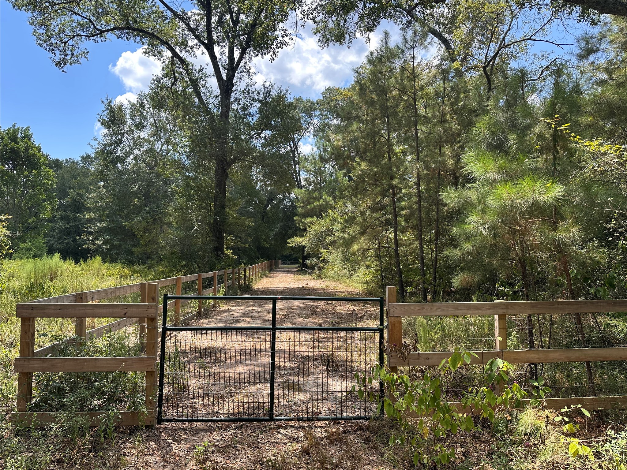 16735 Azalea Lane Plantersville, TX 77363 - Photo 43 of 44 a view of a fence and trees