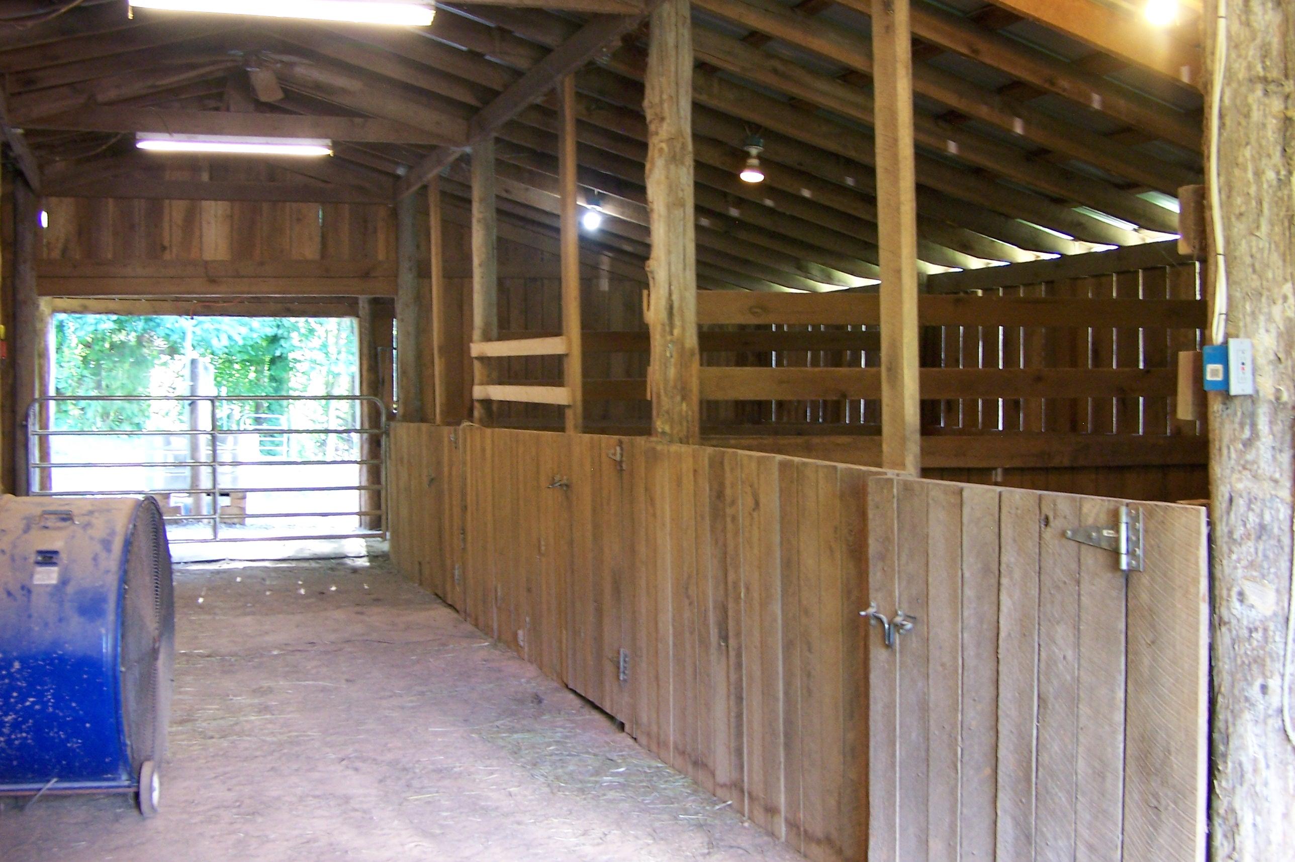 643 Mahoney Road Oliver Springs, TN 37840 - Photo 19 of 34 Three Stalls