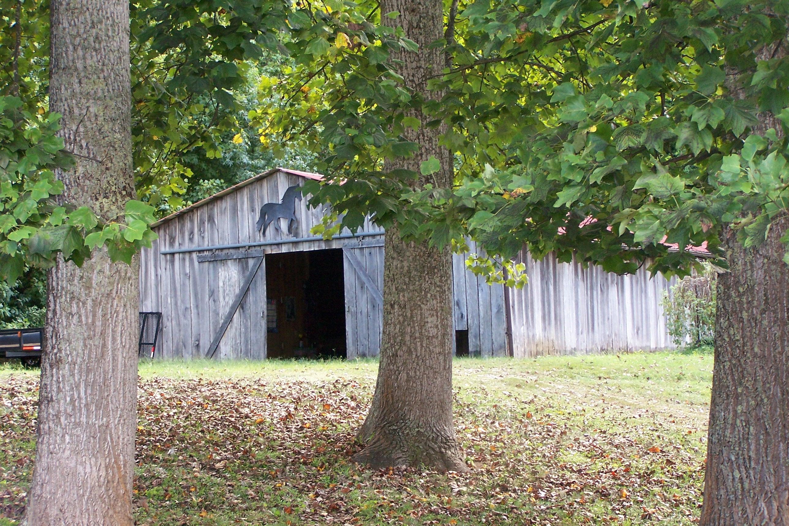 643 Mahoney Road Oliver Springs, TN 37840 - Photo 24 of 34 View of Barn