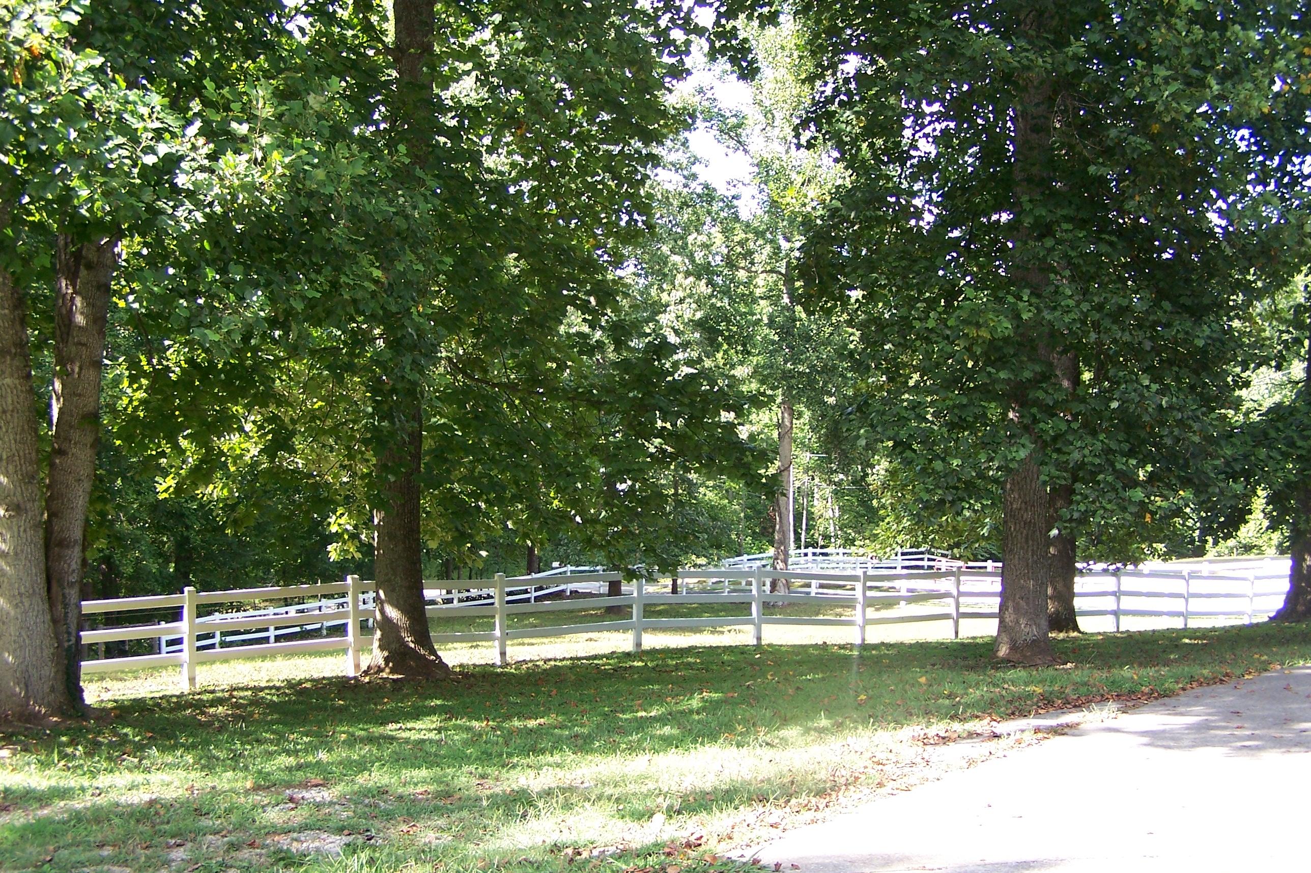 643 Mahoney Road Oliver Springs, TN 37840 - Photo 27 of 34 Wide Open Spaces to Enjoy