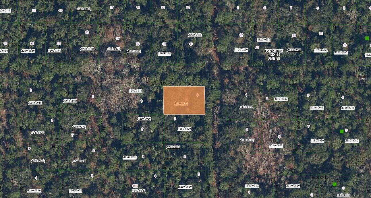 0 Spruce Drive Georgetown, FL 32139 - Photo 1 of 1 a view of bushes