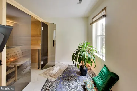 a palm plant sitting in front of a window