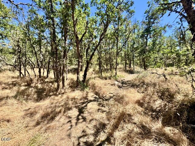 0 Or-238 Jacksonville, OR 97530 - Photo 10 of 20