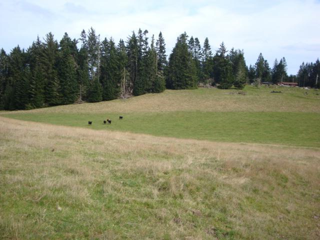 0 Berta Road Eureka, CA 95503 - Photo 7 of 20