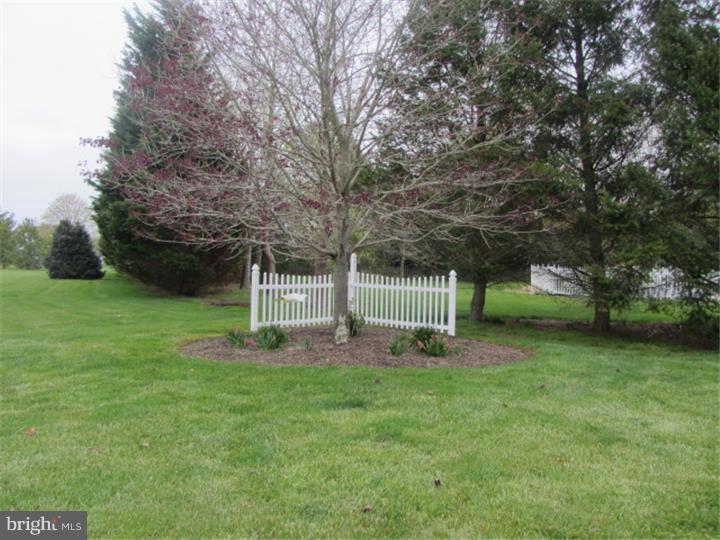 134 Springfield Way Dover, DE 19904 - Photo 24 of 25 Back Yard