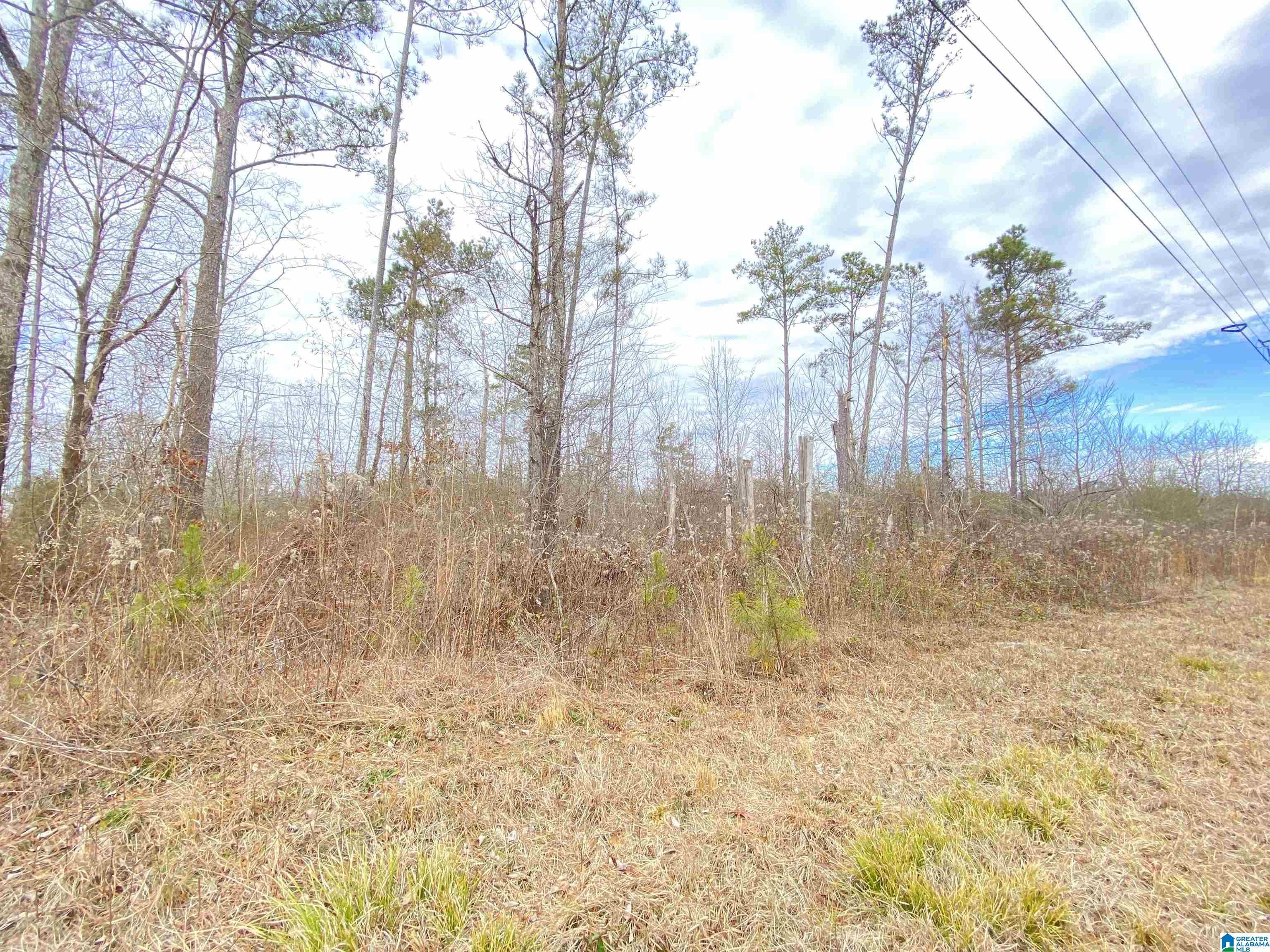 20 Friendship Drive Springville, AL 35146 - Photo 9 of 62