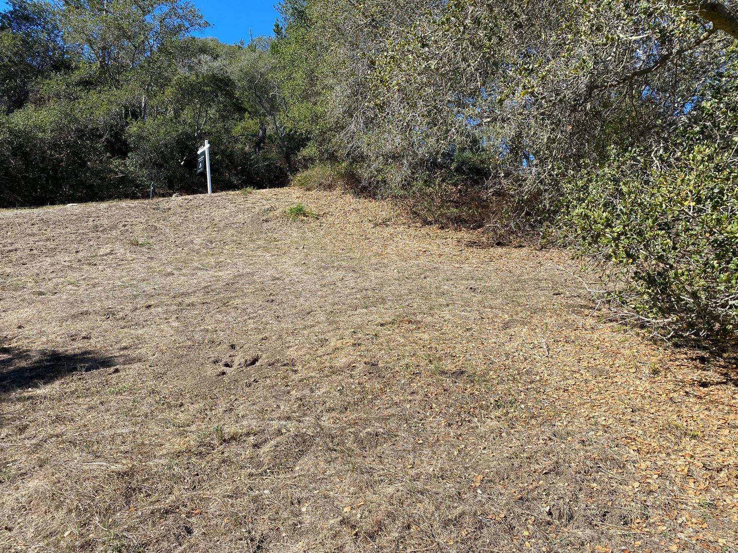 0 Rancho Soquel Road Soquel, CA 95073 - Photo 7 of 13 a view of a backyard of the house