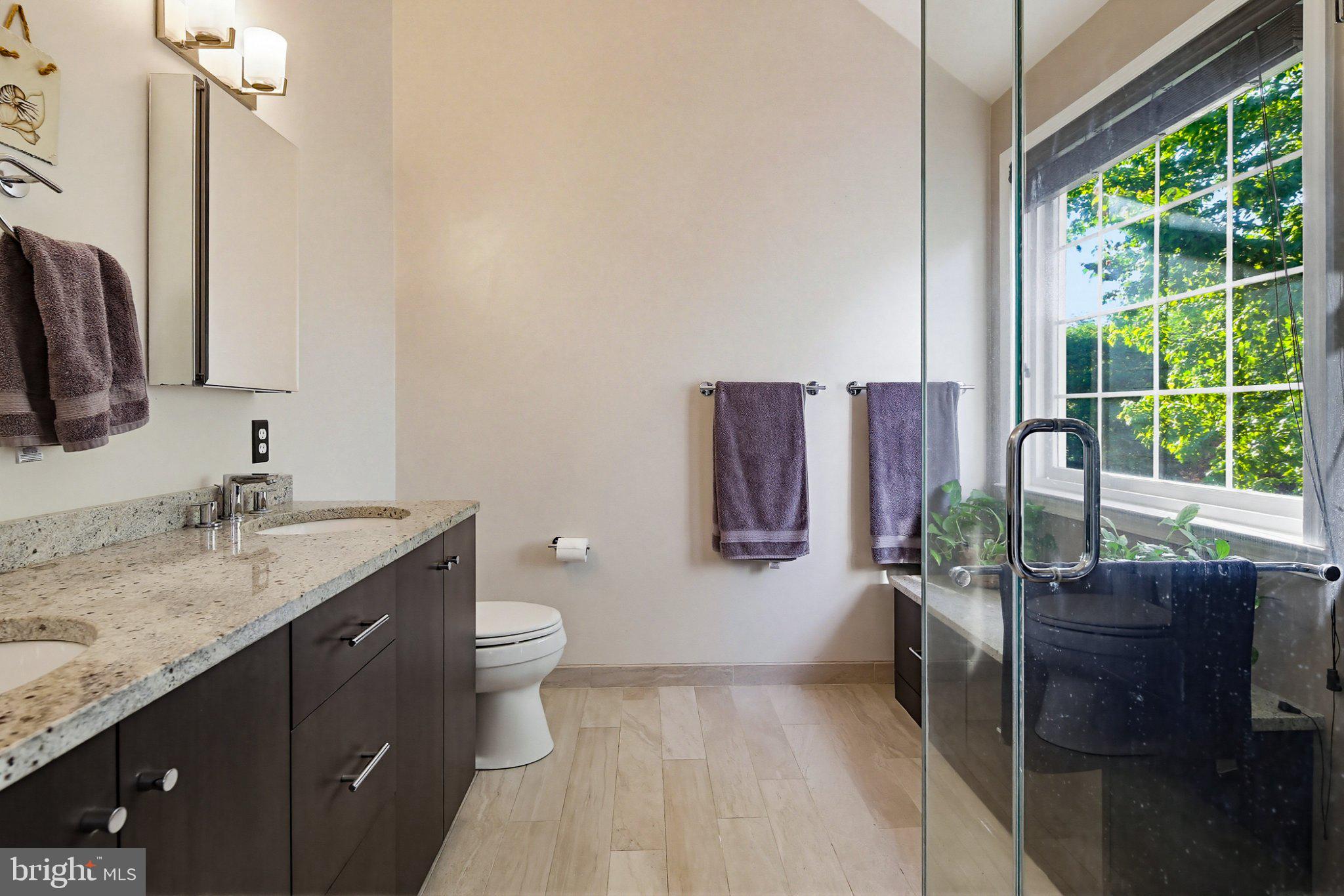 6516 Milva Lane Springfield, VA 22150 - Photo 15 of 35 Elegant bathroom with natural light.