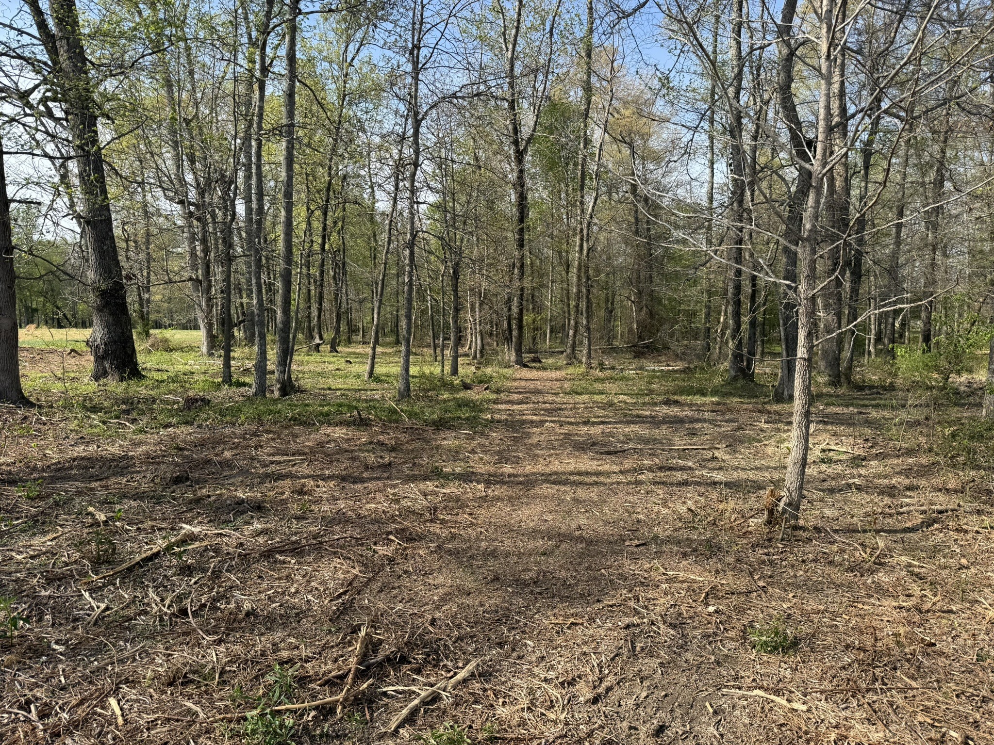 0 Bob Meadows Road Manchester, TN 37355 - Photo 5 of 6