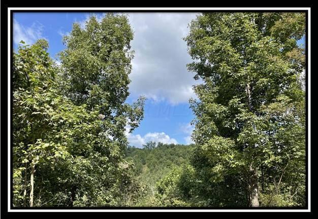 0 Clary Road, Unit TRACT 2) Ray, OH 45672 - Photo 21 of 32 image021