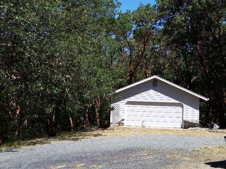 1111 Three Pines Road Grants Pass, OR 97526 - Photo 24 of 28 ANOTHER VIEW OF SHOP WITH SURROUNDING TR