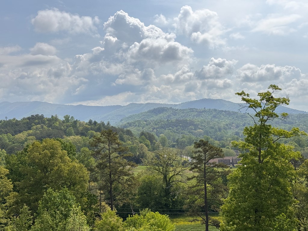 106 Mistletoe Ridge Murphy, NC 28906 - Photo 2 of 41
