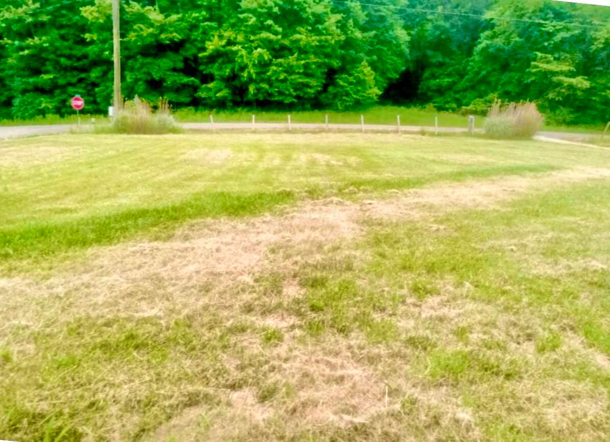 4550 Hill Road Dresden, OH 43821 - Photo 6 of 17 5