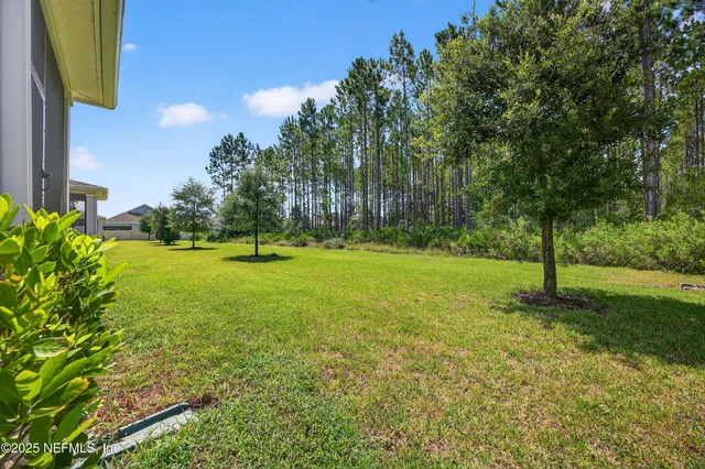 a view of a park with large trees