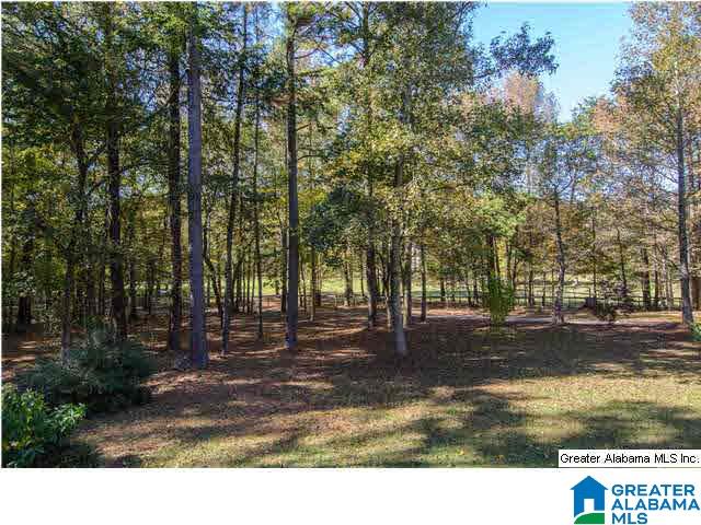 245 Chimney Rock Road Southwest Leeds, AL 35094 - Photo 2 of 32