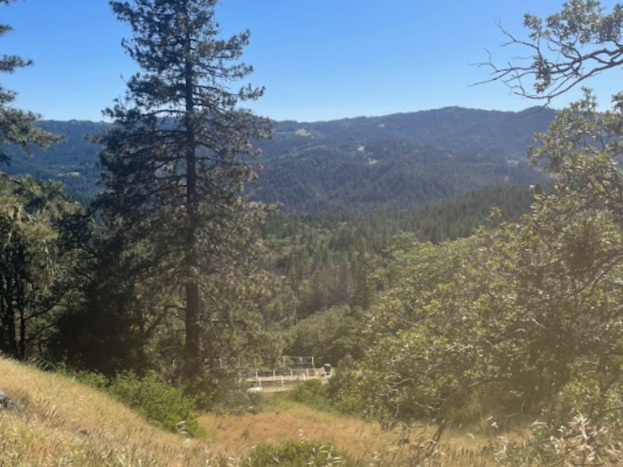 46 Burr Valley Road Bridgeville, CA 95526 - Photo 23 of 23 Gallery Image 23